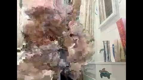 tylerweist727678265 online show from 04/19/26, 10:23