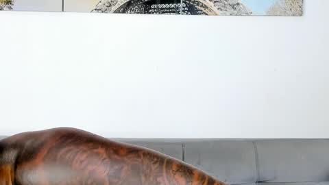 Snapshot of tyron_rulers chatting on 11/07/25, 12:32 Dvid Rullers online show from 11/07/25, 12:32