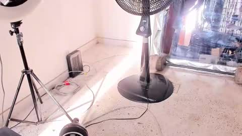 Snapshot of tyron_rulers chatting on 12/14/25, 12:54 Dvid Rullers online show from 12/14/25, 12:54