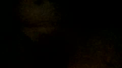 Snapshot of tystickk66 chatting on 01/06/25, 09:52 tystickk66 online show from 01/06/25, 09:52