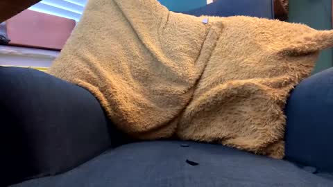 Snapshot of ukclive chatting on 02/05/25, 01:22 ukclive online show from 02/05/25, 01:22