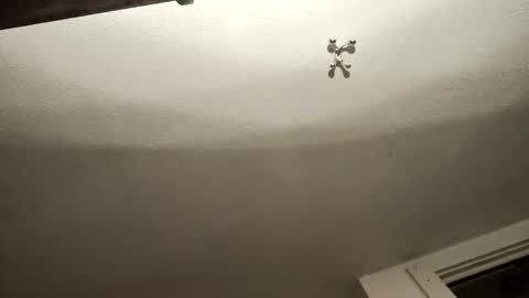 uncut_widda_bigbutt online show from 02/03/25, 04:14