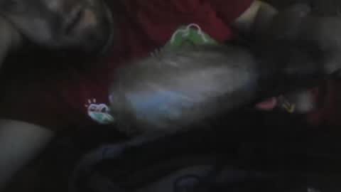 Snapshot of uncutgemkin chatting on 12/17/25, 07:03 UncutGem online show from 12/17/25, 07:03