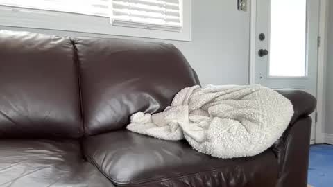 Snapshot of ungerisland chatting on 03/09/25, 07:26 ungerisland online show from 03/09/25, 07:26