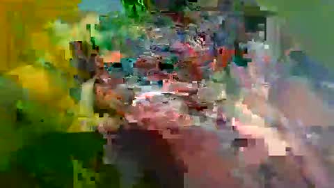 Snapshot of ur_zaddy4now chatting on 01/24/25, 11:37 ur_zaddy4now online show from 01/24/25, 11:37