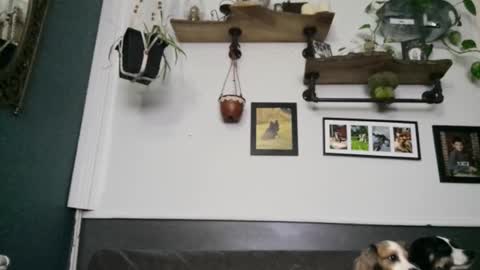 Snapshot of urdreamswonder chatting on 02/08/26, 03:43 MYMY online show from 02/08/26, 03:43