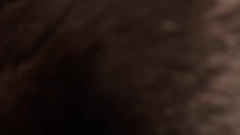 urmissalice online show from 02/22/26, 03:21