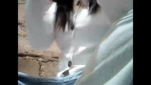 Aleah online show from 11/25/25, 08:36