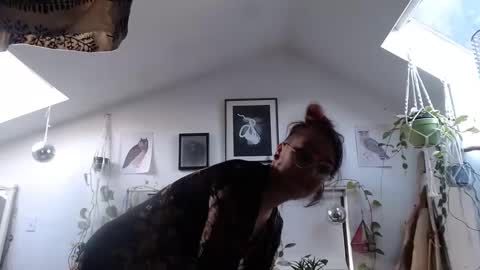 Ursinae online show from 02/14/25, 11:31