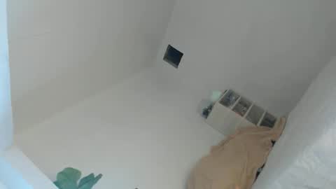 KIM online show from 04/19/26, 04:45