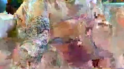 Snapshot of urukai79 chatting on 02/17/26, 12:45 urukai79 online show from 02/17/26, 12:45