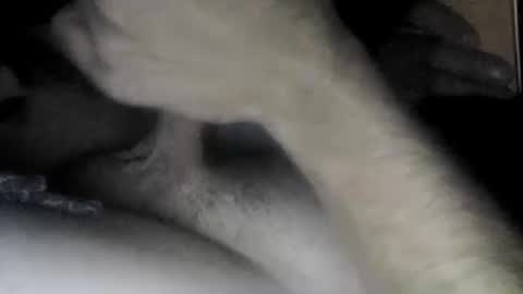 Slave bitch online show from 04/22/26, 10:06