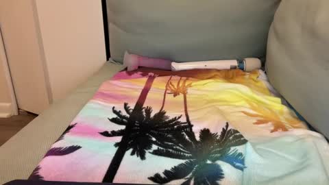 Snapshot of usedingoodcondition chatting on 12/16/24, 12:48 Lily online show from 12/16/24, 12:48