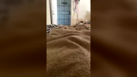 useranon334457 online show from 07/20/26, 03:36