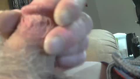 Snapshot of usmcmark63 chatting on 02/19/25, 08:31 lookin for free fun online show from 02/19/25, 08:31