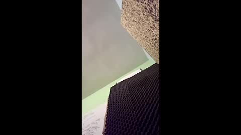 Snapshot of v3403454 chatting on 12/16/25, 11:54 v3403454 online show from 12/16/25, 11:54