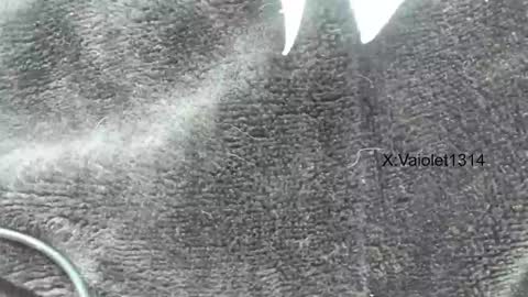 Vaiolet1314 online show from 01/26/25, 03:58