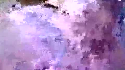 valdiciorocha6 online show from 06/04/26, 02:17