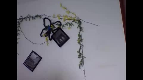 valery_honey_ online show from 06/02/26, 01:18