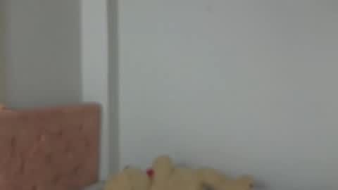 Snapshot of valery_lovex_ chatting on 10/10/25, 02:10 valery_lovex_ online show from 10/10/25, 02:10