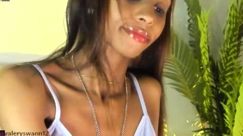 Snapshot of valery_swan1 chatting on 12/23/24, 08:11 Valery swan1 online show from 12/23/24, 08:11