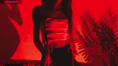 Snapshot of valery_swan1 chatting on 02/17/25, 02:42 Valery swan1 online show from 02/17/25, 02:42