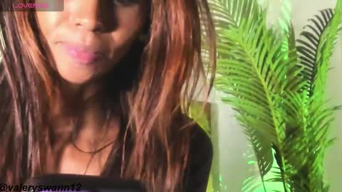Snapshot of valery_swan1 chatting on 02/22/25, 04:51 Valery swan1 online show from 02/22/25, 04:51
