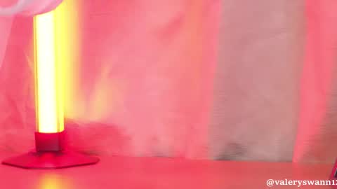 Snapshot of valery_swan1 chatting on 09/24/25, 03:43 Valery swan1 online show from 09/24/25, 03:43