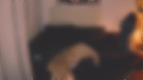 Snapshot of valorant_girl chatting on 12/07/24, 03:08 Little Devil online show from 12/07/24, 03:08