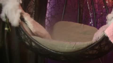 Snapshot of vanelope11 chatting on 11/28/25, 07:16 Vanelope online show from 11/28/25, 07:16