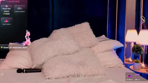 Snapshot of vanessaangelx chatting on 03/11/25, 10:18 Vanessa Diamond online show from 03/11/25, 10:18