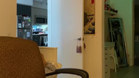 Snapshot of vanessapark chatting on 01/05/25, 03:34 Vanessa  online show from 01/05/25, 03:34