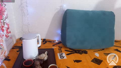 Snapshot of vasya_sylvia chatting on 12/10/24, 08:08 Vasya Sylvia online show from 12/10/24, 08:08