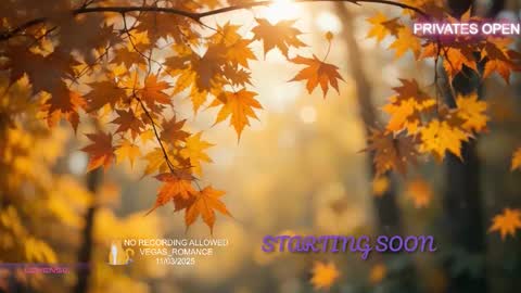 Snapshot of vegas_romance chatting on 11/03/25, 11:59 vegas_romance online show from 11/03/25, 11:59