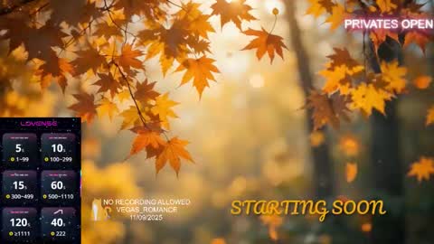 Snapshot of vegas_romance chatting on 11/09/25, 11:25 vegas_romance online show from 11/09/25, 11:25