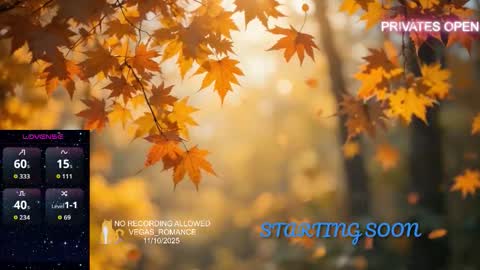 Snapshot of vegas_romance chatting on 11/11/25, 12:43 vegas_romance online show from 11/11/25, 12:43