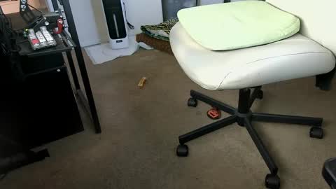 vegasnightowl online show from 10/07/25, 02:36