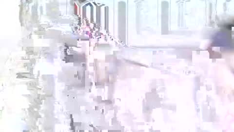 velvet online show from 01/10/25, 08:04