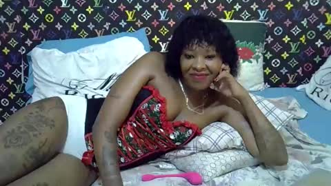 velvet online show from 03/13/26, 05:03