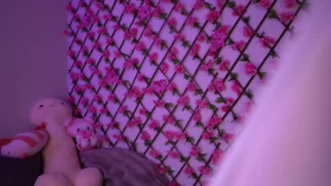 Polly online show from 11/04/25, 06:18