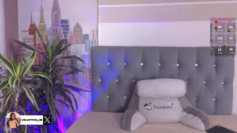 velvetfox_ online show from 11/08/25, 07:23