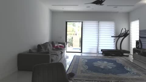 Snapshot of velvettgirl chatting on 02/21/26, 03:24 VelvetTGirl online show from 02/21/26, 03:24