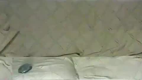 ventura50 online show from 03/06/25, 08:30