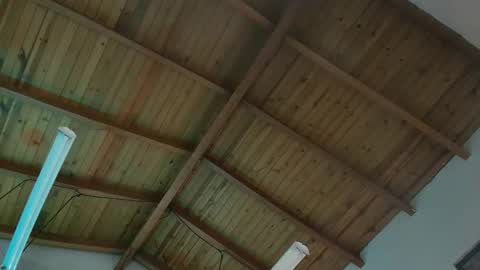 VENUS online show from 11/29/25, 11:57