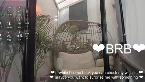 VENUS online show from 01/19/26, 11:36