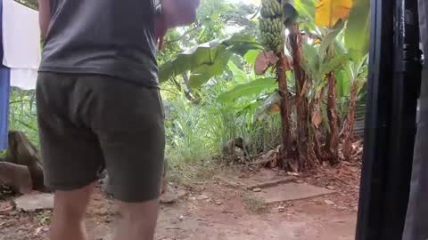 venus ... zeus sheer  online show from 01/20/25, 01:11