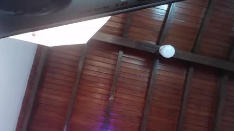 Venus Evans online show from 02/23/25, 12:19