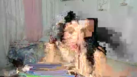 Snapshot of venuswilliamx chatting on 11/30/25, 02:04 venus online show from 11/30/25, 02:04