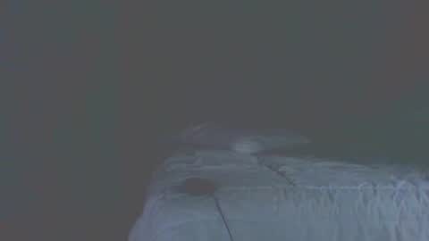 Snapshot of vergagolosa22 chatting on 11/20/25, 07:02 vergagolosa22 online show from 11/20/25, 07:02