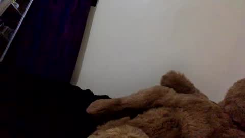 DarkBerryBliss online show from 04/13/26, 10:04